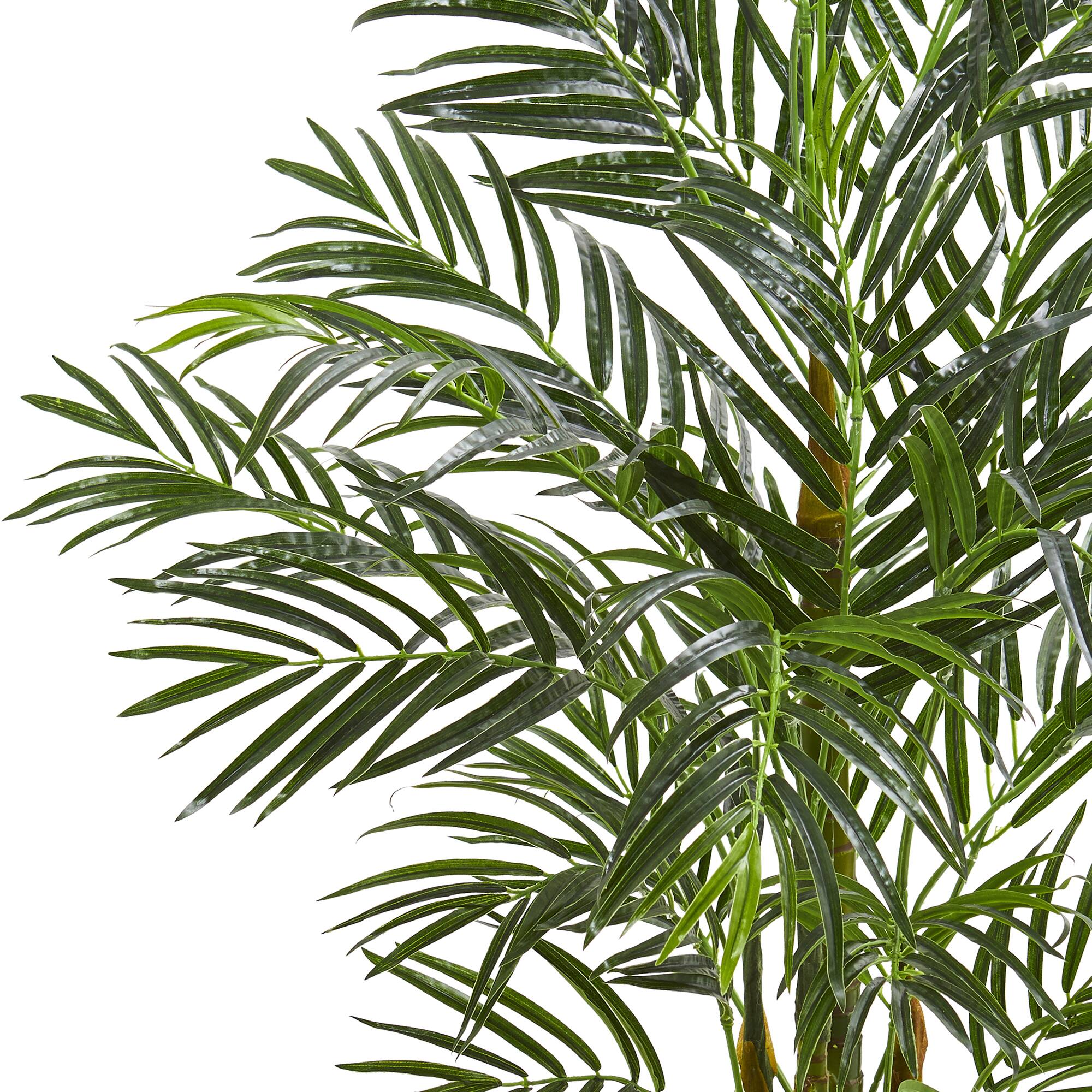 4ft. Areca Palm Tree in Terra Cotta Planter